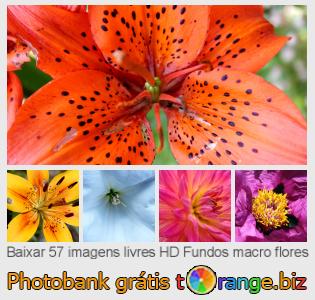 Banco de imagem tOrange oferece fotos grátis da seção:  fundos-macro-flores