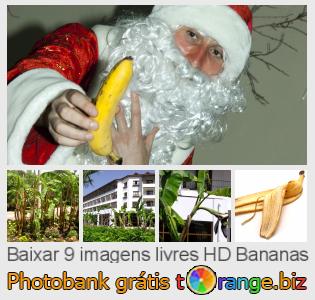 Banco de imagem tOrange oferece fotos grátis da seção:  bananas