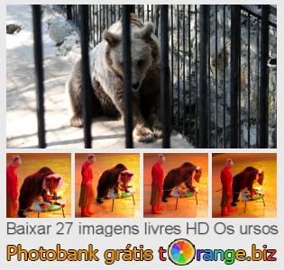 Banco de imagem tOrange oferece fotos grátis da seção:  os-ursos