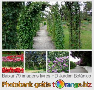 Banco de imagem tOrange oferece fotos grátis da seção:  jardim-botânico