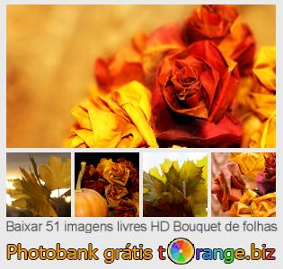 Banco de imagem tOrange oferece fotos grátis da seção:  bouquet-de-folhas