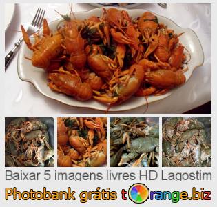 Banco de imagem tOrange oferece fotos grátis da seção:  lagostim