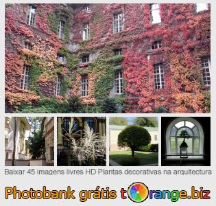 Banco de imagem tOrange oferece fotos grátis da seção:  plantas-decorativas-na-arquitectura