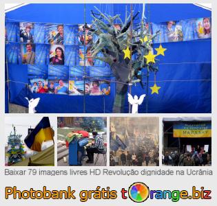 Banco de imagem tOrange oferece fotos grátis da seção:  revolução-dignidade-na-ucrânia
