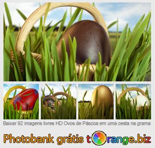 Banco de imagem tOrange oferece fotos grátis da seção:  ovos-de-páscoa-em-uma-cesta-na-grama