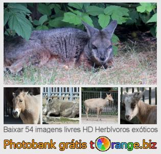 Banco de imagem tOrange oferece fotos grátis da seção:  herbívoros-exóticos