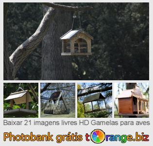Banco de imagem tOrange oferece fotos grátis da seção:  gamelas-para-aves