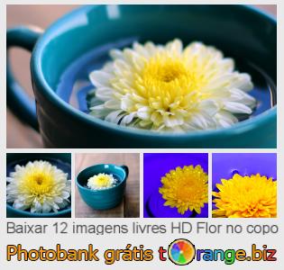 Banco de imagem tOrange oferece fotos grátis da seção:  flor-no-copo