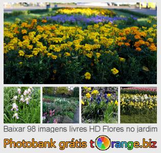 Banco de imagem tOrange oferece fotos grátis da seção:  flores-no-jardim
