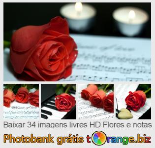 Banco de imagem tOrange oferece fotos grátis da seção:  flores-e-notas