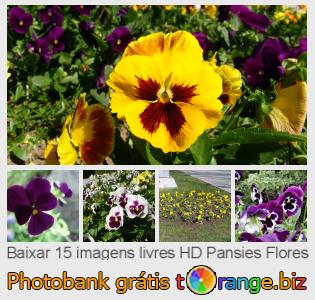 Banco de imagem tOrange oferece fotos grátis da seção:  pansies-flores
