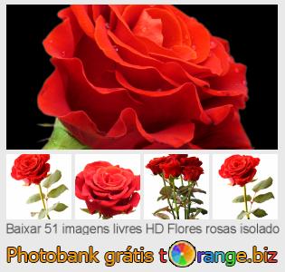 Banco de imagem tOrange oferece fotos grátis da seção:  flores-rosas-isolado