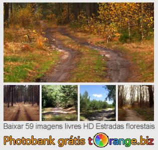 Banco de imagem tOrange oferece fotos grátis da seção:  estradas-florestais