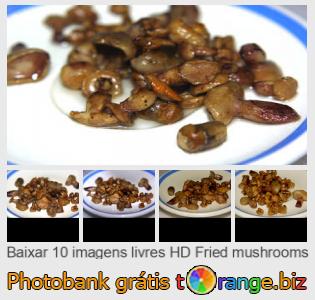 Banco de imagem tOrange oferece fotos grátis da seção:  cogumelos-fritos