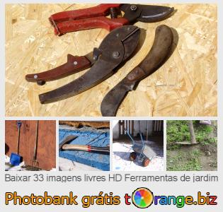 Banco de imagem tOrange oferece fotos grátis da seção:  ferramentas-de-jardim