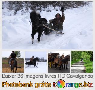 Banco de imagem tOrange oferece fotos grátis da seção:  cavalgando