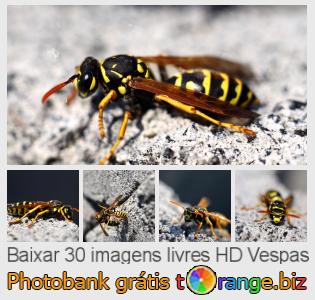 Banco de imagem tOrange oferece fotos grátis da seção:  vespas