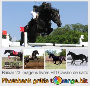 Banco de imagem tOrange oferece fotos grátis da seção:  cavalo-de-salto
