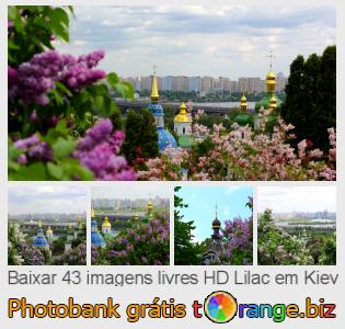 Banco de imagem tOrange oferece fotos grátis da seção:  lilac-em-kiev