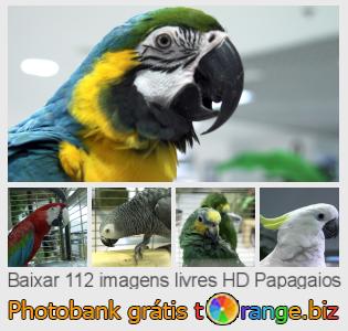 Banco de imagem tOrange oferece fotos grátis da seção:  papagaios