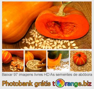Banco de imagem tOrange oferece fotos grátis da seção:  as-sementes-de-abóbora
