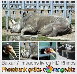 Banco de imagem tOrange oferece fotos grátis da seção:  rhinos