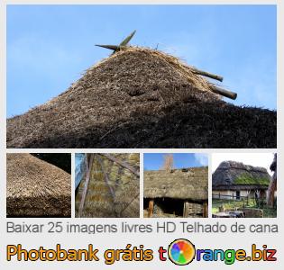 Banco de imagem tOrange oferece fotos grátis da seção:  telhado-de-cana