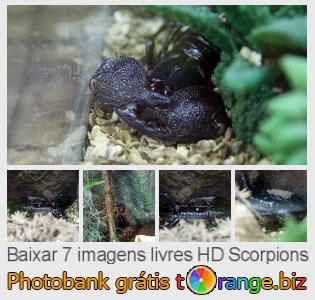 Banco de imagem tOrange oferece fotos grátis da seção:  scorpions