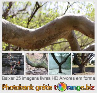 Banco de imagem tOrange oferece fotos grátis da seção:  árvores-em-forma