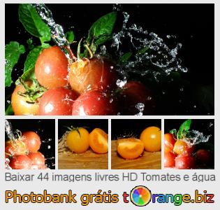 Banco de imagem tOrange oferece fotos grátis da seção:  tomates-e-água