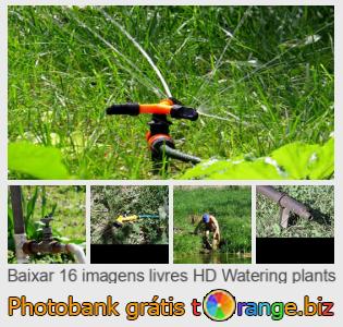 Banco de imagem tOrange oferece fotos grátis da seção:  regando-plantas