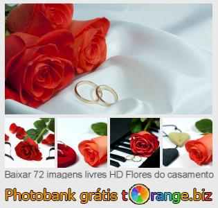 Banco de imagem tOrange oferece fotos grátis da seção:  flores-do-casamento