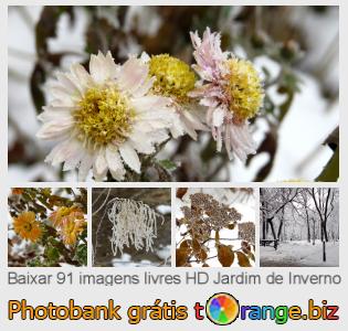 Banco de imagem tOrange oferece fotos grátis da seção:  jardim-de-inverno