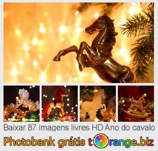 Banco de imagem tOrange oferece fotos grátis da seção:  ano-do-cavalo