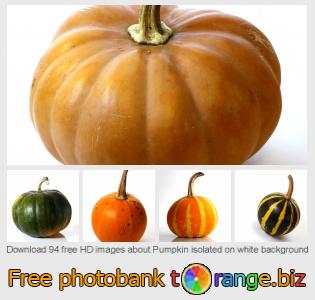 images free photo bank tOrange offers free photos from the section:  pumpkin-isolated-white-background
