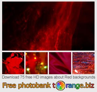 images free photo bank tOrange offers free photos from the section:  red-backgrounds