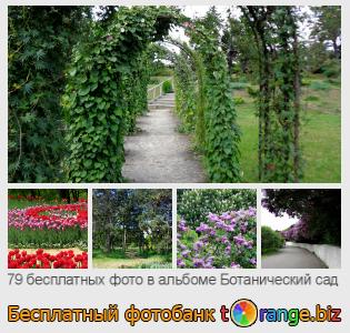 Фотобанк tOrange предлагает бесплатные фото из раздела:  ботанический-сад