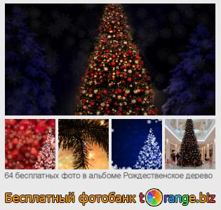 Фотобанк tOrange предлагает бесплатные фото из раздела:  рождественское-дерево