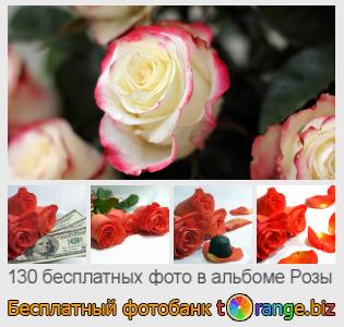 Фотобанк tOrange предлагает бесплатные фото из раздела:  розы