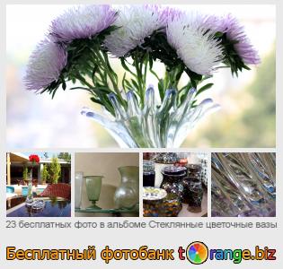 Фотобанк tOrange предлагает бесплатные фото из раздела:  стеклянные-цветочные-вазы