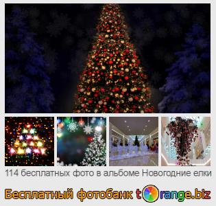 Фотобанк tOrange предлагает бесплатные фото из раздела:  новогодние-елки