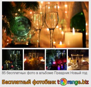 Фотобанк tOrange предлагает бесплатные фото из раздела:  праздник-новый-год