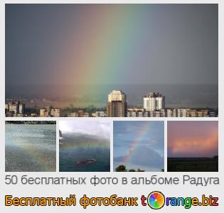 Фотобанк tOrange предлагает бесплатные фото из раздела:  радуга