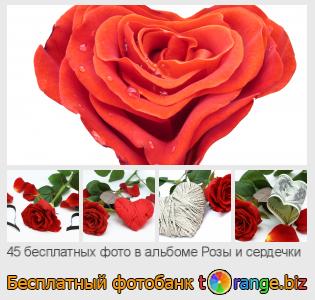 Фотобанк tOrange предлагает бесплатные фото из раздела:  розы-и-сердечки