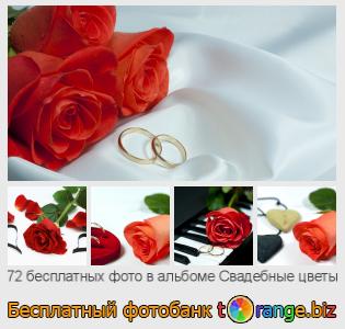 Фотобанк tOrange предлагает бесплатные фото из раздела:  свадебные-цветы