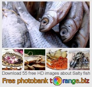 images free photo bank tOrange offers free photos from the section:  salty-fish