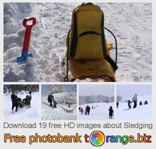 images free photo bank tOrange offers free photos from the section:  sledging