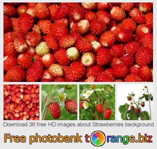 images free photo bank tOrange offers free photos from the section:  strawberries-background