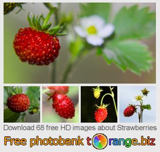 images free photo bank tOrange offers free photos from the section:  strawberries
