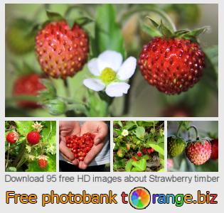 images free photo bank tOrange offers free photos from the section:  strawberry-timber
